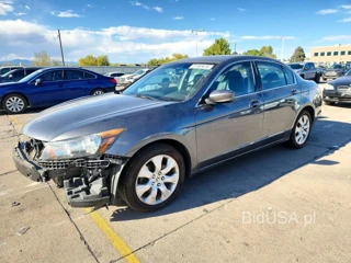 HONDA ACCORD EXL