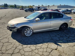 HONDA ACCORD EXL