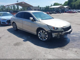 HONDA HONDA ACCORD SPORT