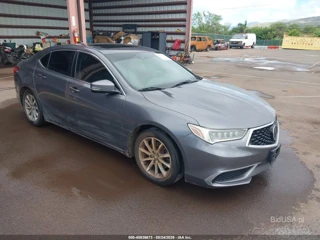 ACURA ACURA TLX