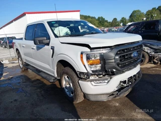 FORD FORD F-150 XLT