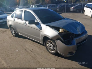 FORD FORD FOCUS SE/SES