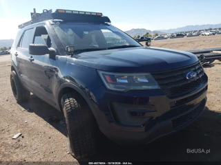 FORD FORD UTILITY POLICE INTERCEPTOR
