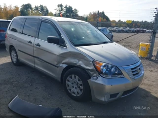 HONDA HONDA ODYSSEY LX