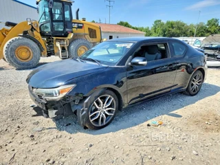 SCION TC BASE