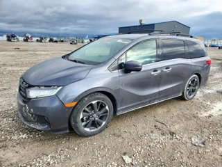 HONDA ODYSSEY ELITE