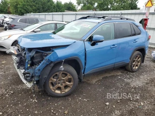 TOYOTA RAV4 WOODLAND EDITION