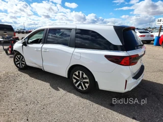 HONDA ODYSSEY EXL