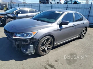HONDA ACCORD SPORT