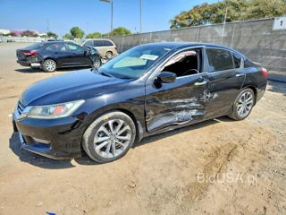 HONDA ACCORD SPORT