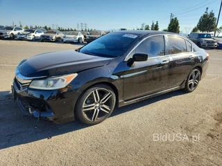 HONDA ACCORD SPORT SPECIAL EDITION