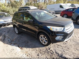FORD FORD ESCAPE SE