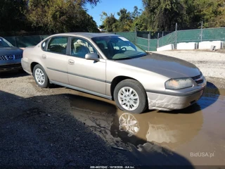 CHEVROLET CHEVROLET IMPALA