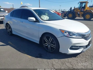 HONDA HONDA ACCORD SPORT SE