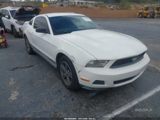 FORD FORD MUSTANG V6/V6 PREMIUM
