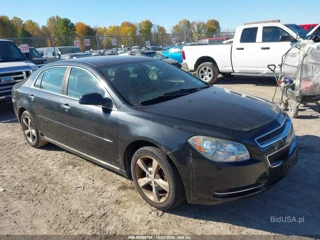 CHEVROLET CHEVROLET MALIBU 1LT