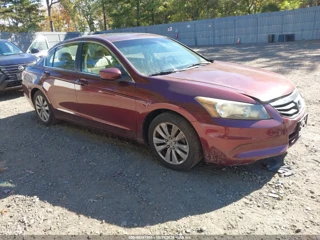 HONDA HONDA ACCORD 2.4 EX-L