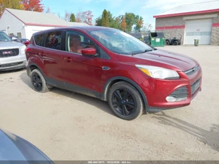 FORD FORD ESCAPE SE