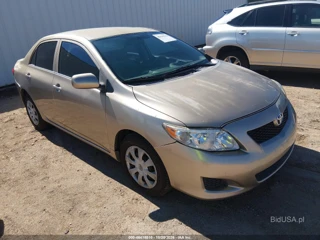 TOYOTA TOYOTA COROLLA