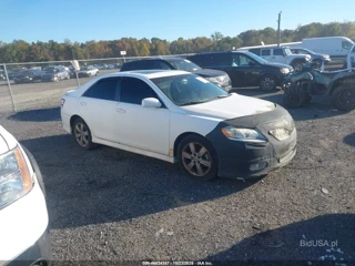 TOYOTA TOYOTA CAMRY SE
