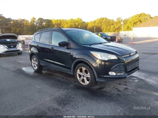 FORD FORD ESCAPE SE