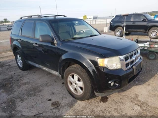 FORD FORD ESCAPE XLT