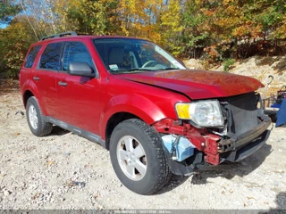 FORD FORD ESCAPE XLT