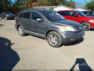 HONDA HONDA CR-V EXL
