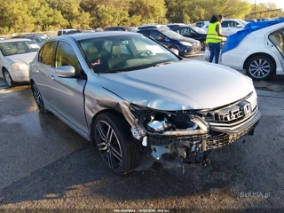 HONDA HONDA ACCORD SPORT