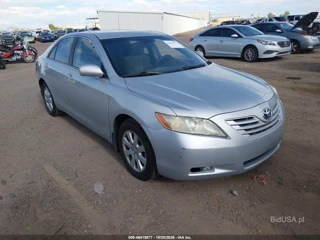 TOYOTA TOYOTA CAMRY LE/SE