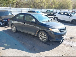 TOYOTA TOYOTA COROLLA LE