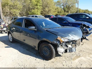 TOYOTA TOYOTA COROLLA LE