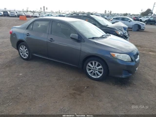 TOYOTA TOYOTA COROLLA LE