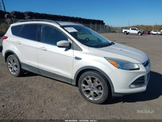 FORD FORD ESCAPE SE
