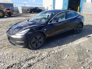 TESLA 3