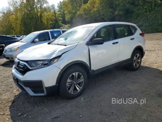 HONDA CR-V LX