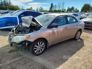 TOYOTA COROLLA BASE
