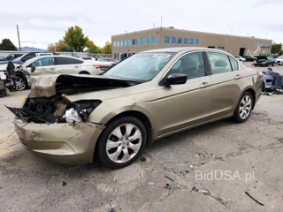 HONDA ACCORD EXL
