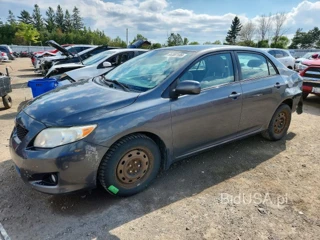 TOYOTA COROLLA BASE