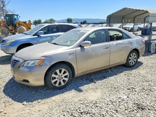 TOYOTA CAMRY HYBRID
