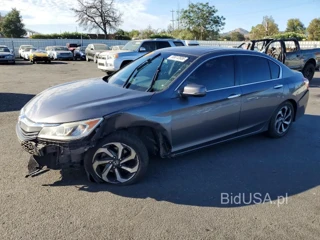 HONDA ACCORD EXL