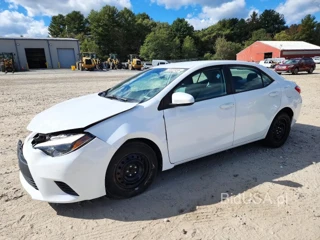 TOYOTA COROLLA LE