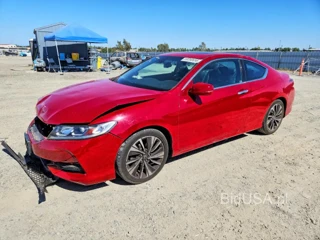 HONDA ACCORD EXL