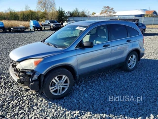 HONDA CR-V EX