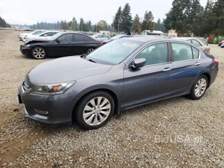 HONDA ACCORD EXL