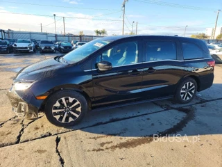 HONDA ODYSSEY EXL