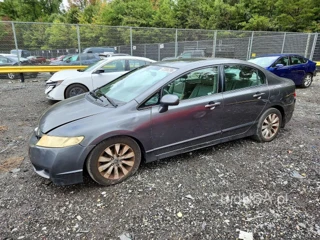 HONDA CIVIC EXL