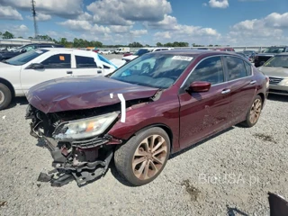 HONDA ACCORD SPORT