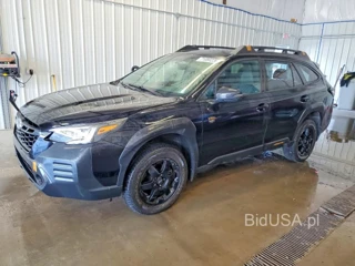 SUBARU OUTBACK WILDERNESS
