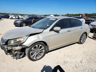 HONDA ACCORD SPORT